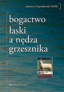 Picture of Bogactwo łaski a nędza grzesznika