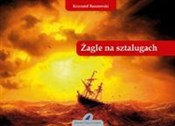 Książka : Żagle na s... - Krzysztof Baranowski