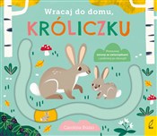 Polska książka : Wracaj do ... - Carolina Buzio