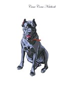 Książka : Cane Corso...