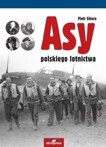 Obrazek Asy polskiego lotnictwa