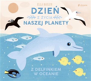 Picture of Dzień z życia naszej planety Z delfinkiem w oceanie