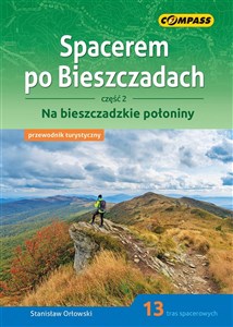 Obrazek Spacerem po Bieszczadach Część 2 Na bieszczadzkie połoniny