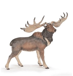 Obrazek Megaloceros