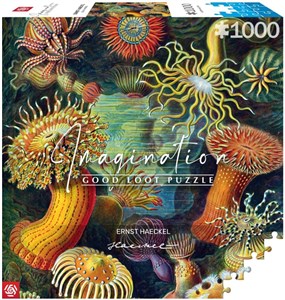 Obrazek Puzzle 1000 Ernst Haeckel: Stworzenia morskie