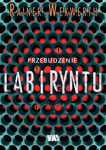 Picture of Przebudzenie labiryntu