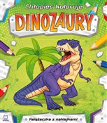 Polska książka : Chłopiec k... - Opracowanie Zbiorowe