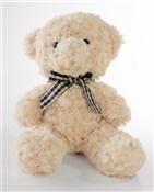 Polska książka : Miś siedzą...