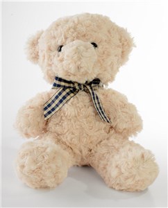 Picture of Miś siedzący beżowy 25cm