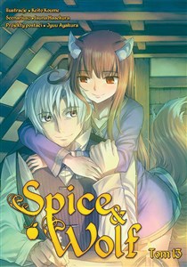 Picture of Spice and Wolf. Tom 13