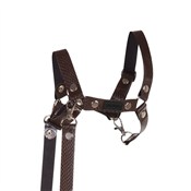 Kantar dla... -  Polish Bookstore 