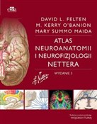 Atlas neur... - Maida M., O'Banion M., Felten D.L. -  books from Poland