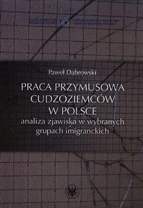 Obrazek Praca przymusowa cudzoziemców w Polsce analiza zjawiska w wybranych grupach imigranckich