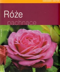 Picture of Róże pachnące