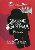 Zaklęcie d... - Krzysztof Petek -  foreign books in polish 