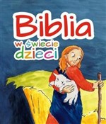 polish book : Biblia w ś... - Opracowanie Zbiorowe
