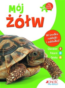 Picture of Mój żółw