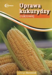 Picture of Uprawa kukurydzy cukrowej