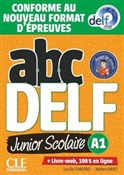 ABC DELF A... - Lucile Chapiro, Adrien Payet -  Polish Bookstore 