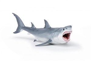 Obrazek Megalodon