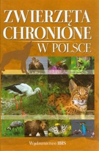 Picture of Zwierzęta chronione w Polsce