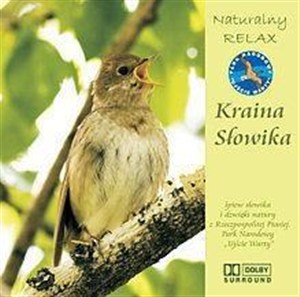 Obrazek Kraina słowika CD