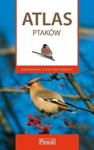 Obrazek Atlas ptaków