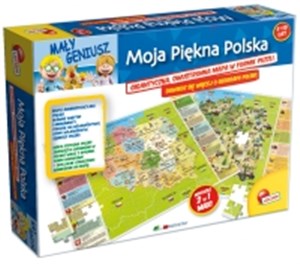 Picture of Puzzle Mały geniusz Moja piękna Polska 108
