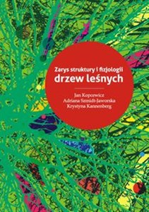 Picture of Zarys struktury i fizjologii drzew leśnych