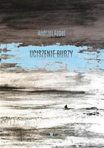 Obrazek Uciszenie burzy