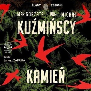 Picture of [Audiobook] Kamień