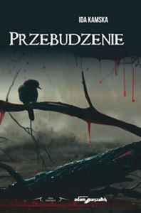 Obrazek Przebudzenie