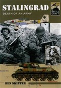 Battle Cra... - Ben Skipper -  books in polish 