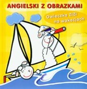 Polska książka : Owieczka Z... - Marcin Malicki