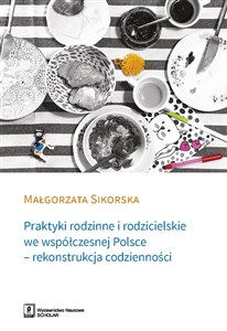 Picture of Praktyki rodzinne i rodzicielskie we współczesnej Polsce - rekonstrukcja codzienności