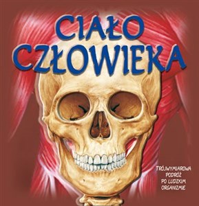 Obrazek Ciało człowieka Trójwymiarowa podróż po ludzkim organiźmie