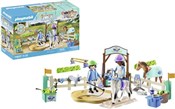 polish book : Playmobil ...