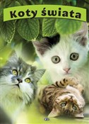 polish book : Koty świat... - Opracowanie Zbiorowe