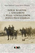 Książka : Dzieje woj... - Juliusz Dudziński, Ludwik Kmicic-Skrzyński