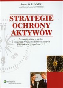 Picture of Strategie ochrony aktywów Maksymalizacja zysku i kontrola ryzyka w niekorzystnych warunkach gospodarczych