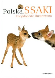 Picture of Polska Ssaki Encyklopedia ilustrowana