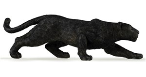 Picture of Czarna pantera
