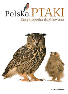 Obrazek Polska Ptaki Encyklopedia ilustrowana