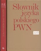 Polska książka : Słownik ję... - Lidia Drabik, Elżbieta Sobol
