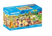 Playmobil ... -  Książka z wysyłką do UK