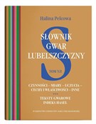 Słownik gw... - Halina Pelcowa -  Książka z wysyłką do UK