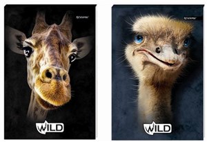 Picture of Notes klejony A6/96K kratka Wild