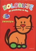 Koloruję n... - Patrycja Gazda -  books from Poland