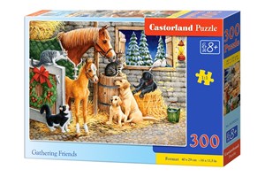 Picture of Puzzle Gathering Friends 300