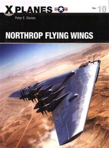 Picture of Northrop Flying Wings